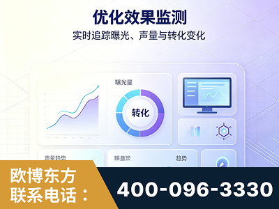 厦门-优化效果监测