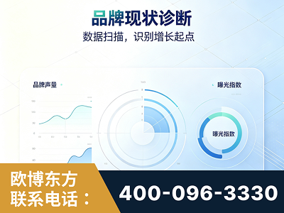 厦门-品牌现状诊断